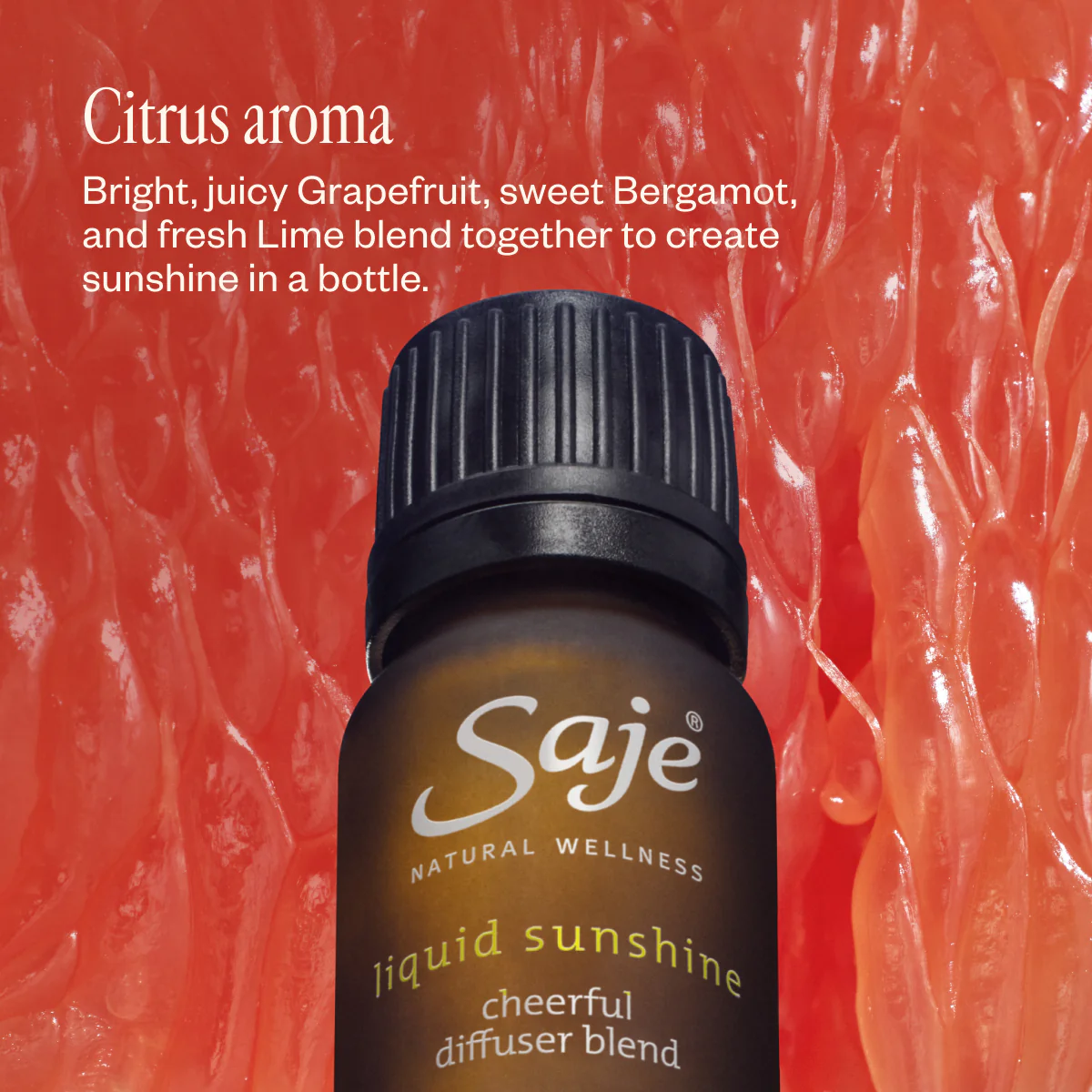 Aroma Halo & Liquid Sunshine - Image 5