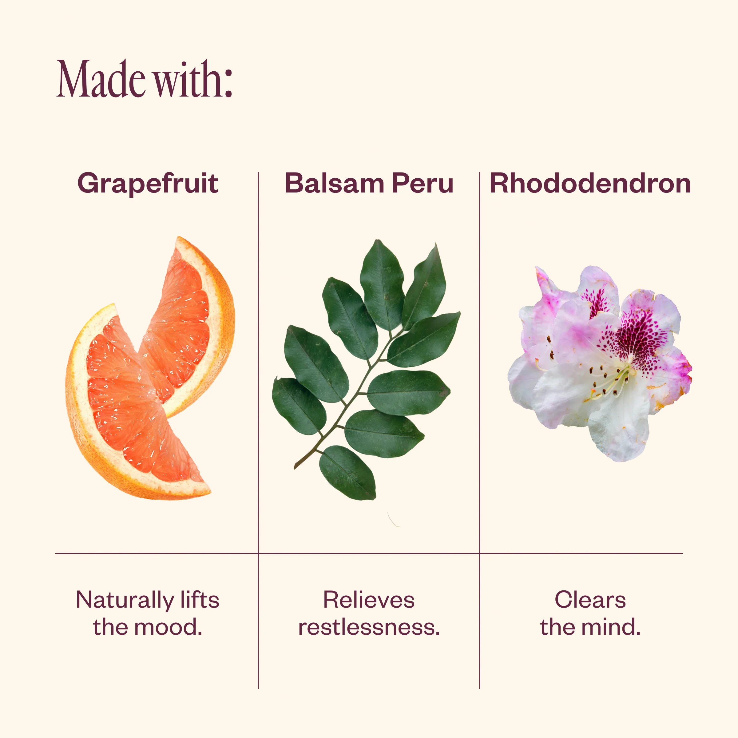 Bloom Bliss - Image 5
