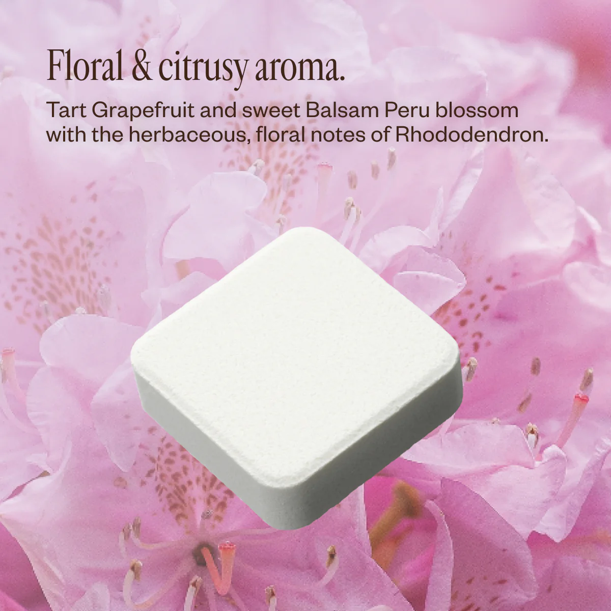 Bloom Bliss - Image 6