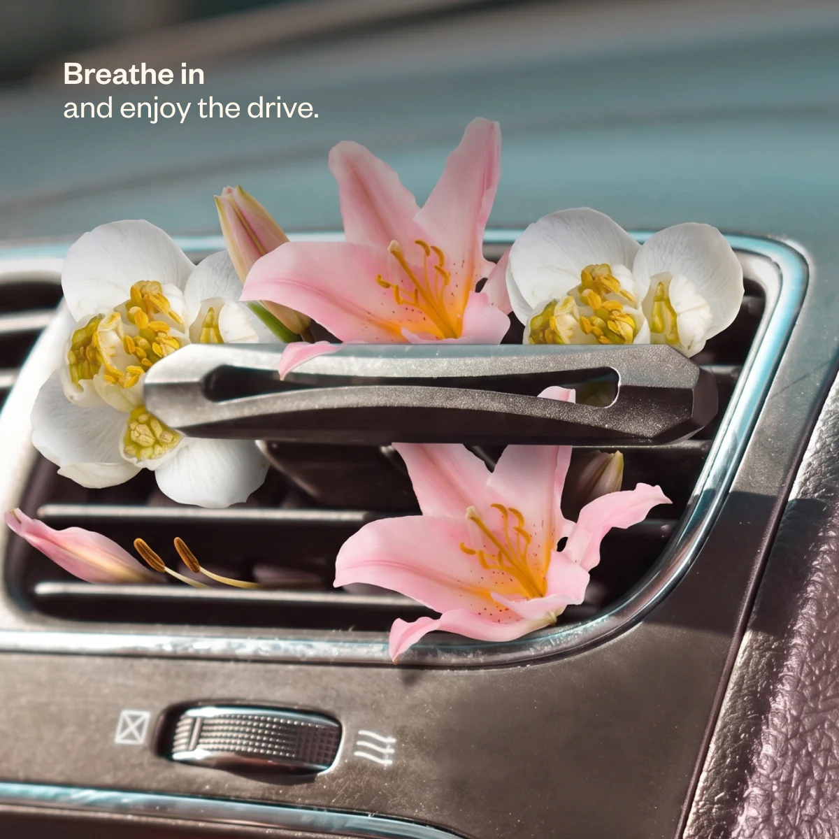 Drive Present - Image 9