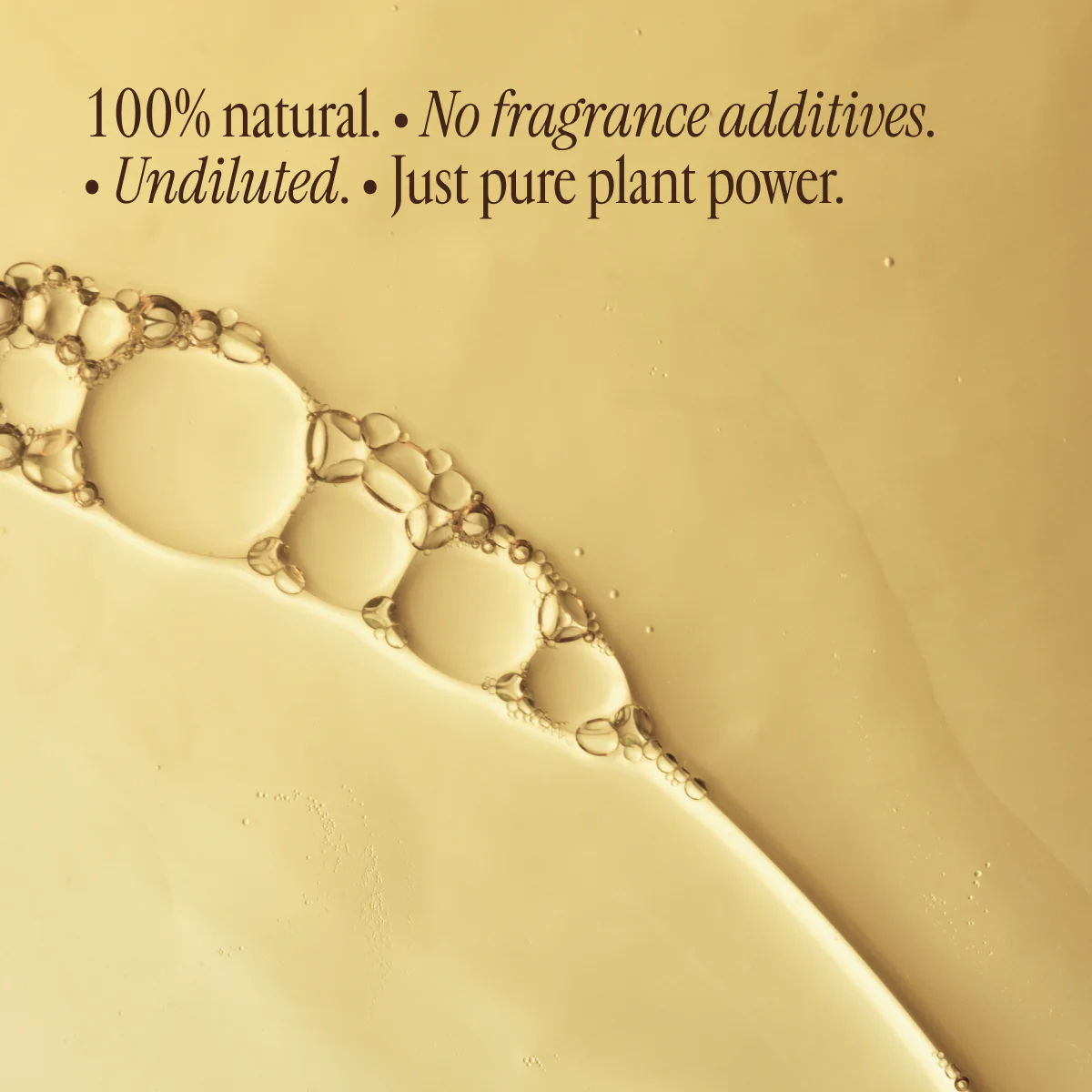 Eucalyptus Oil - Image 8