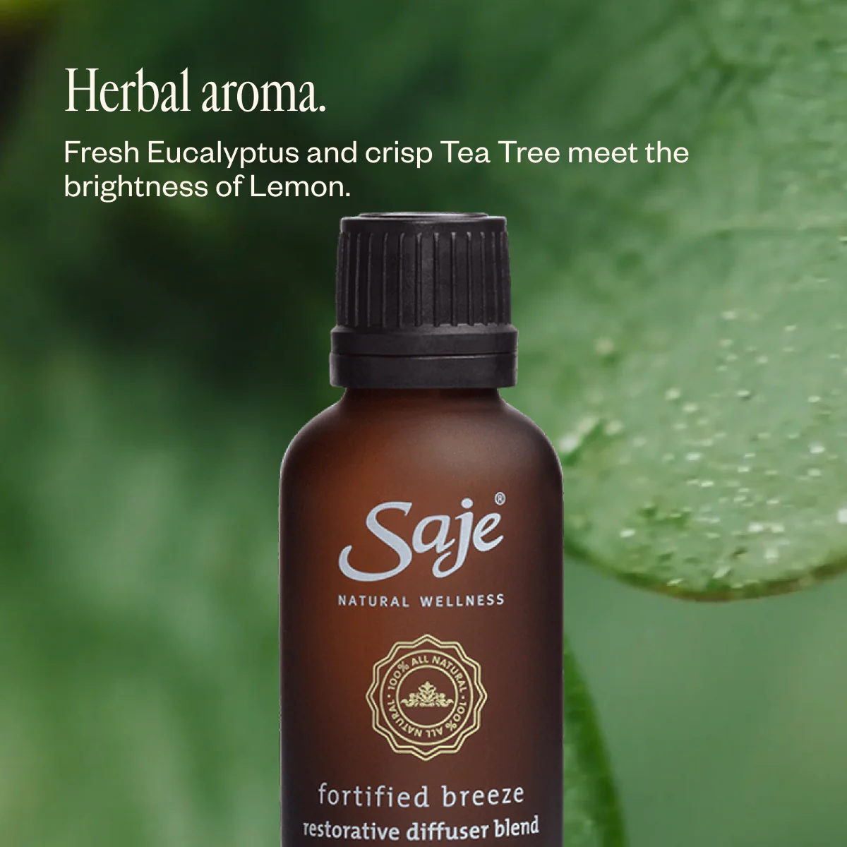 Fortified Breeze - Image 5