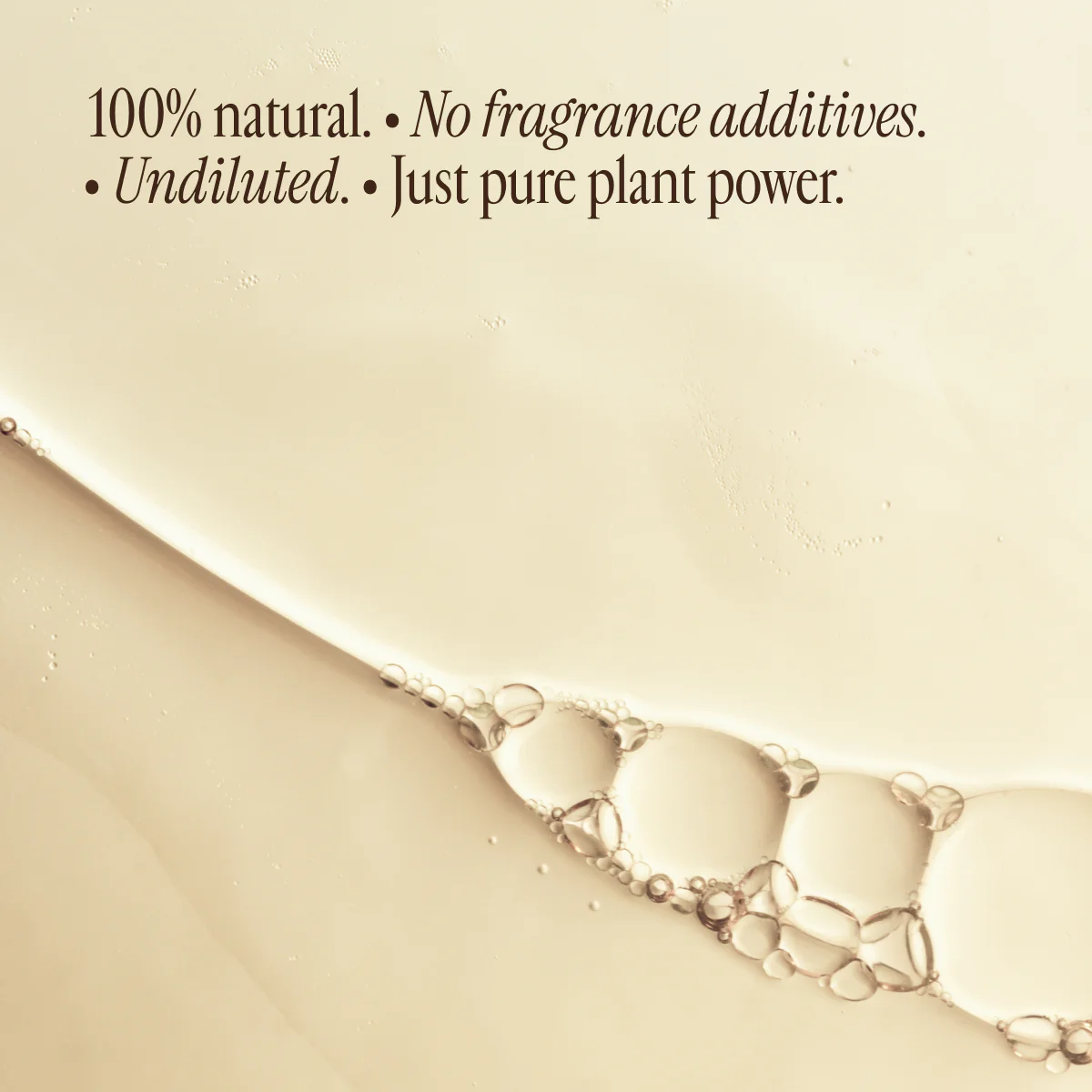 Fortified Breeze - Image 8