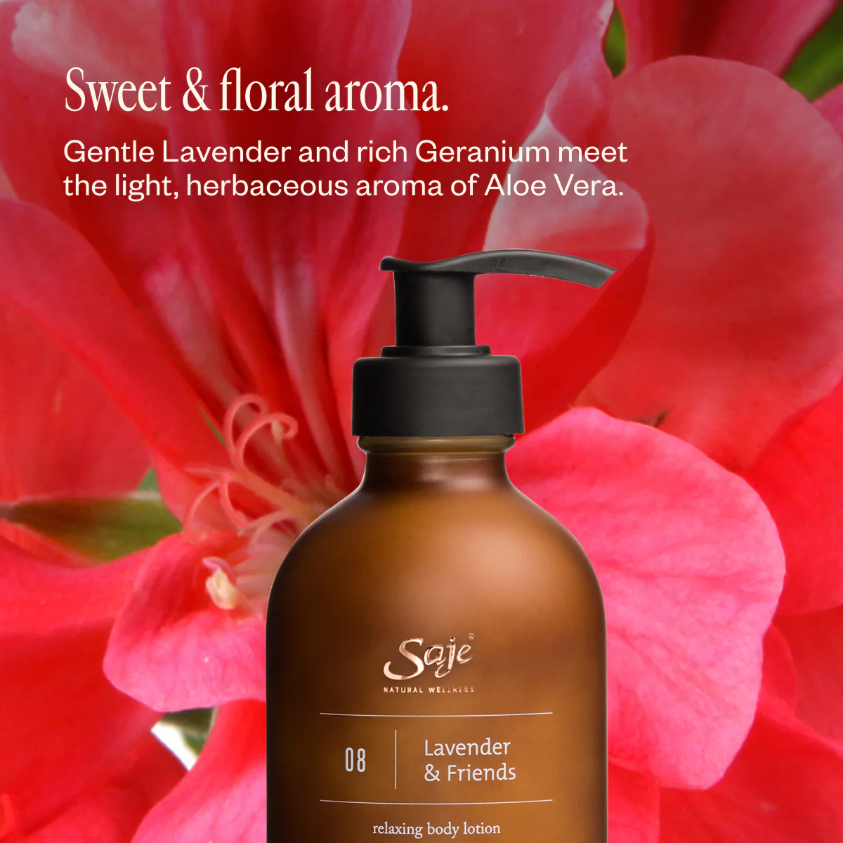 Lavender Lathers - Image 10