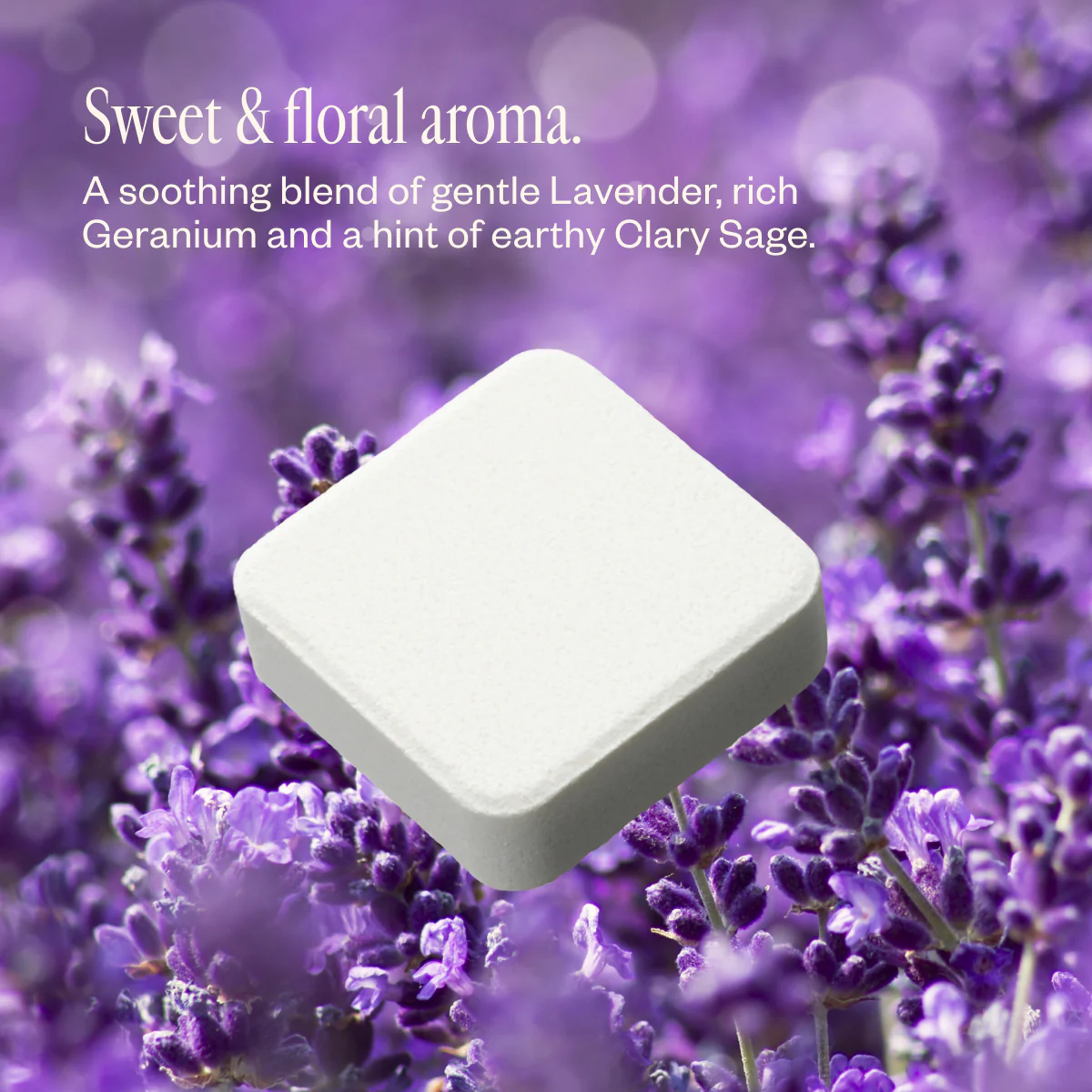 Lavender Lathers - Image 5