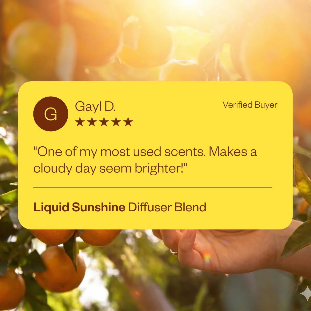 Liquid Sunshine® - Image 3