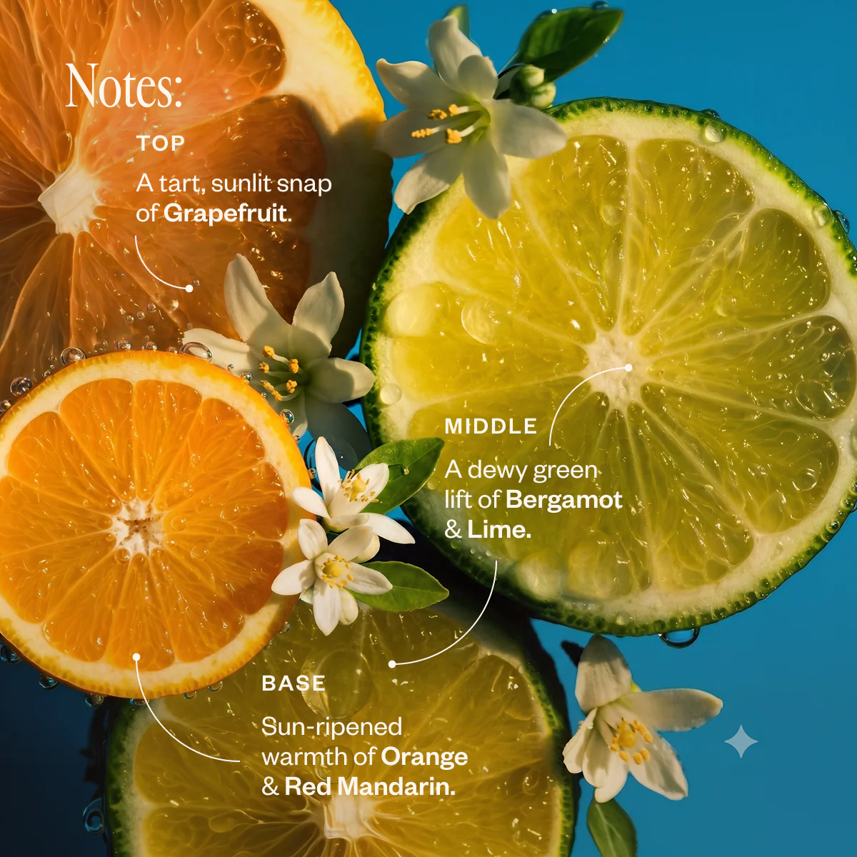 Liquid Sunshine® - Image 4