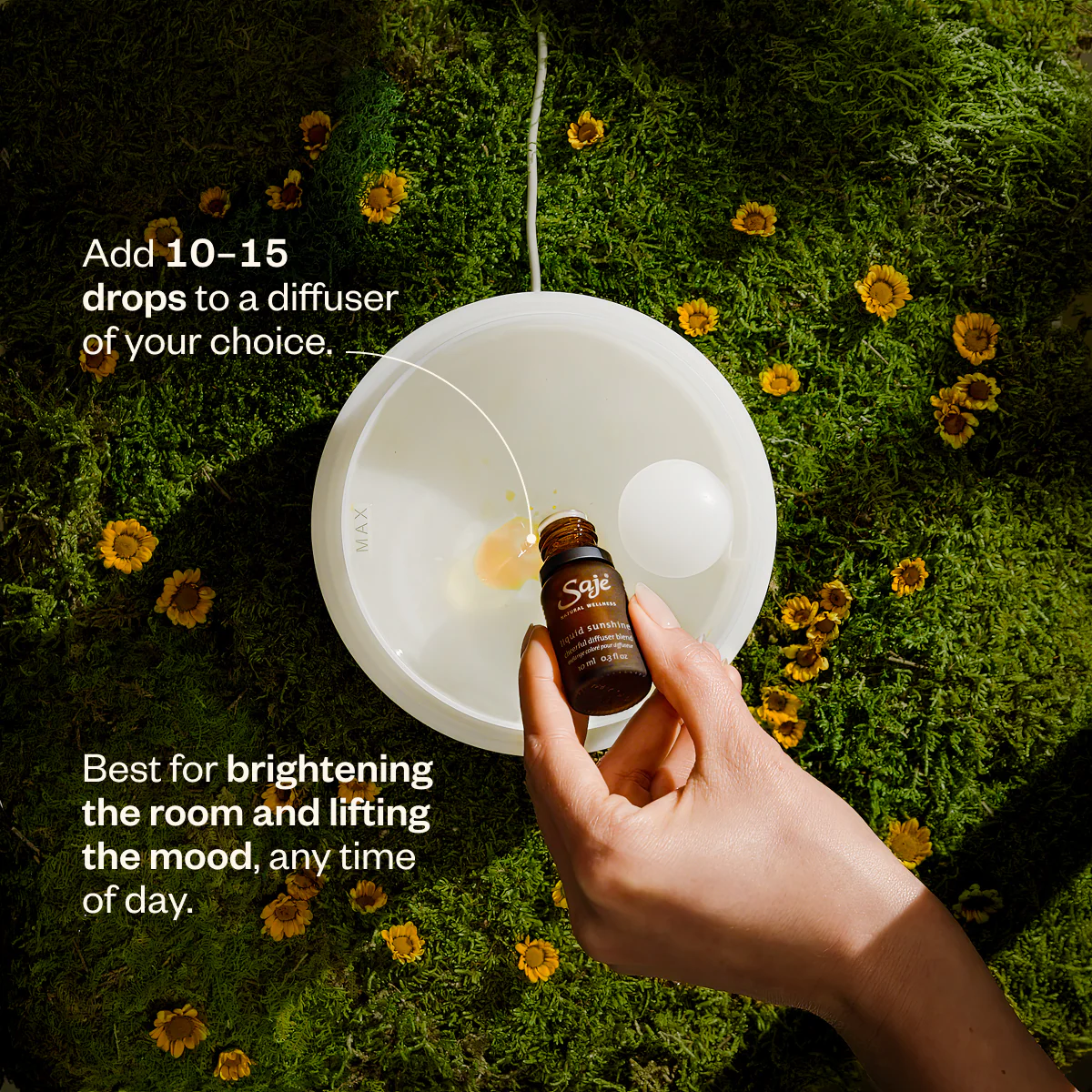 Liquid Sunshine® - Image 8