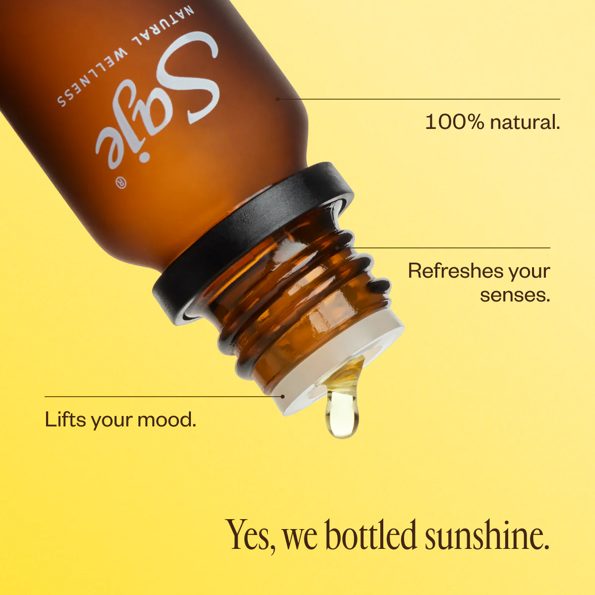 Liquid Sunshine® - Image 3