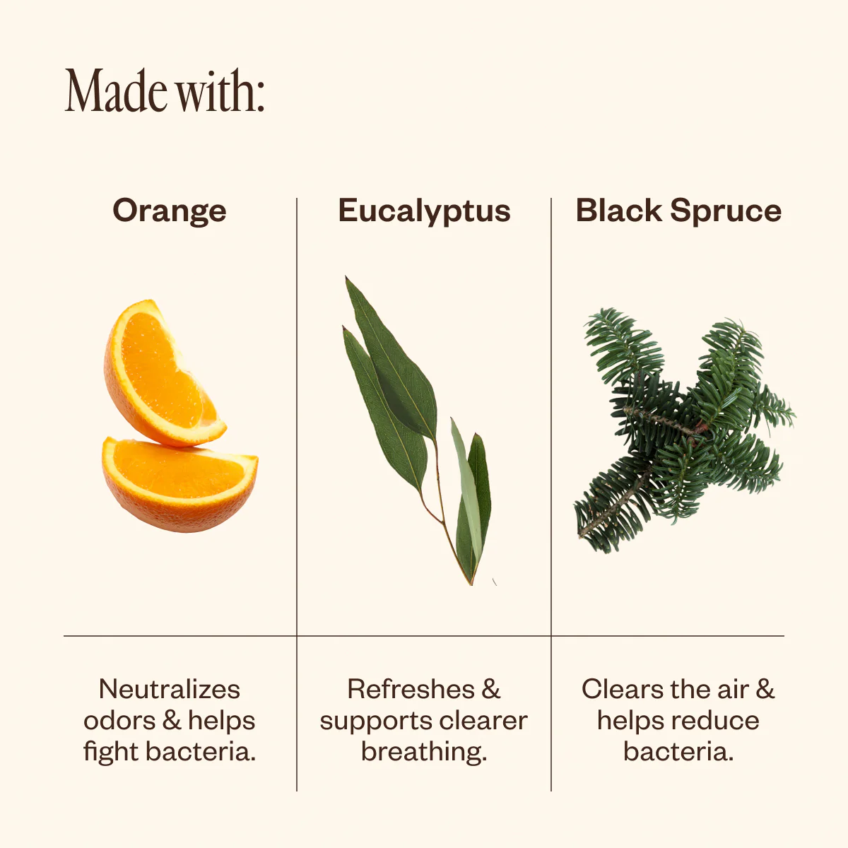 Multi-Surface Cleaning Refill - Image 4