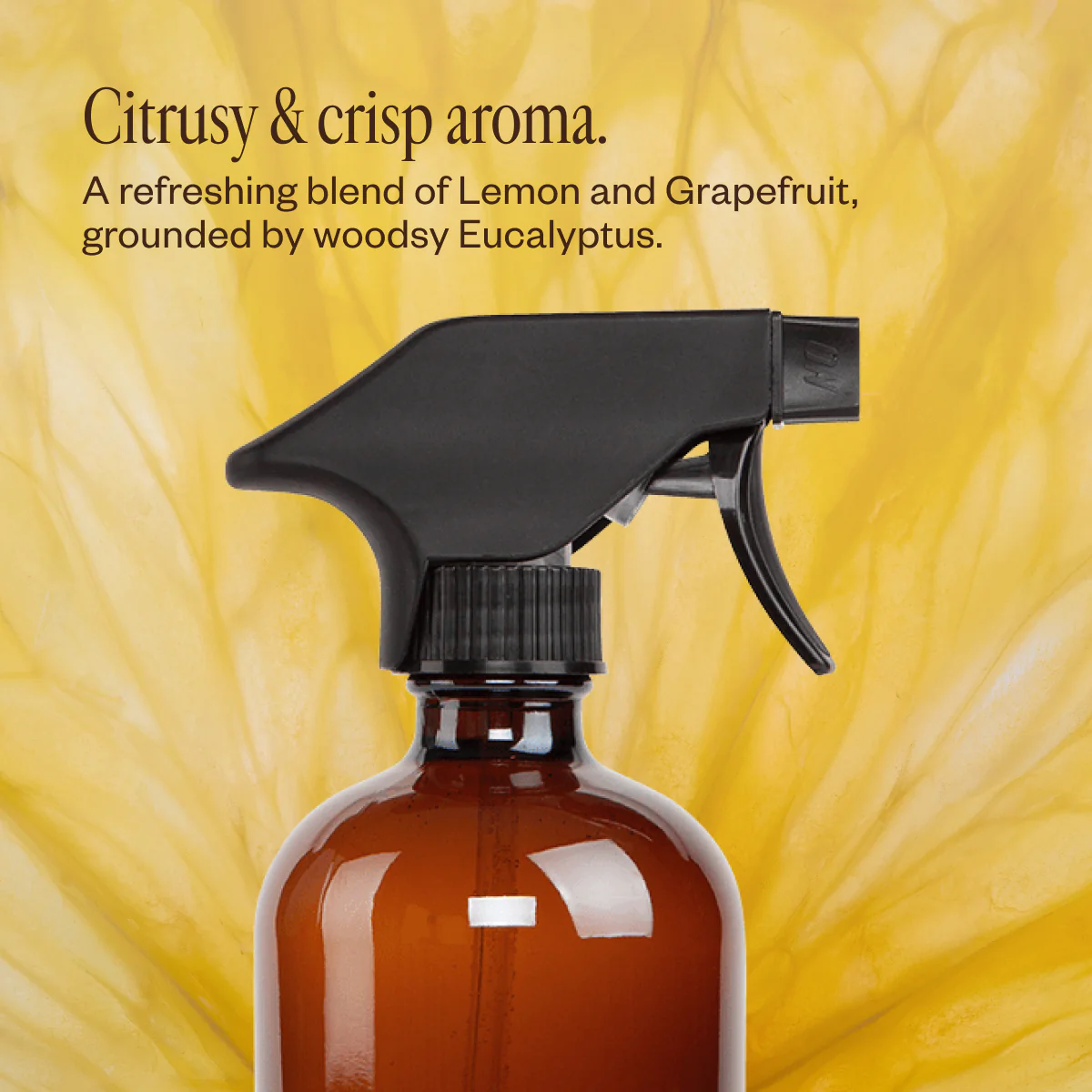 Multi-Surface Cleaning Kit - Image 5