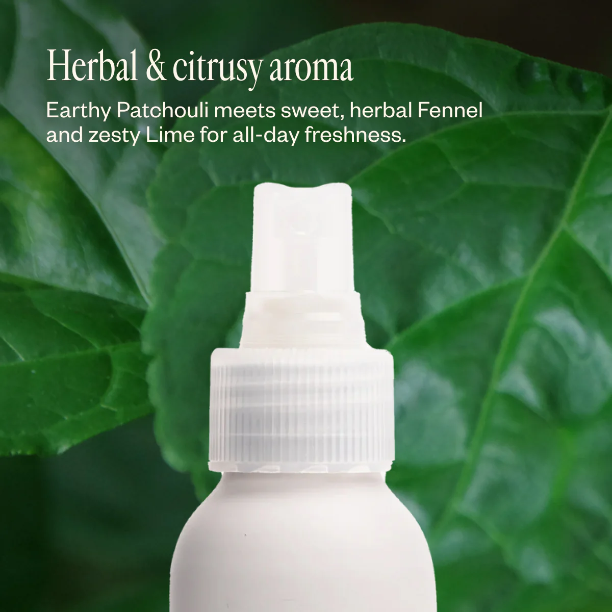 Natural Deodorant Duo - Image 5