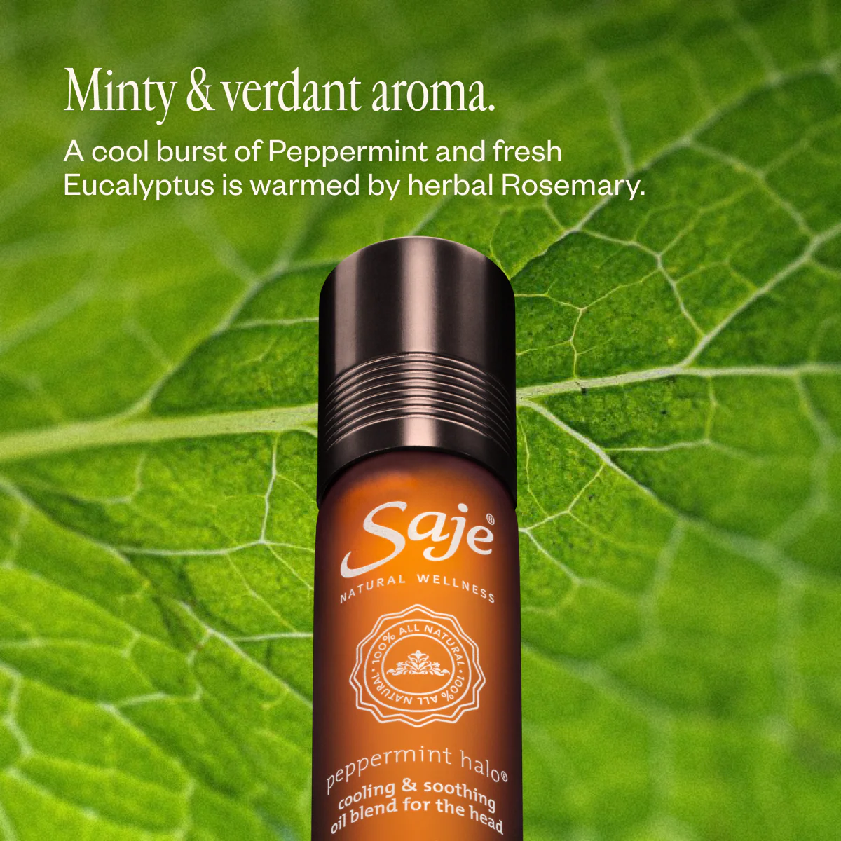 Peppermint Halo® - Image 6