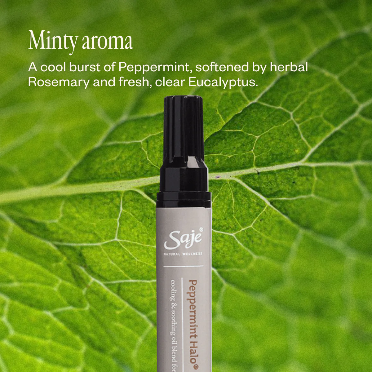 Peppermint Halo Wand - Image 6
