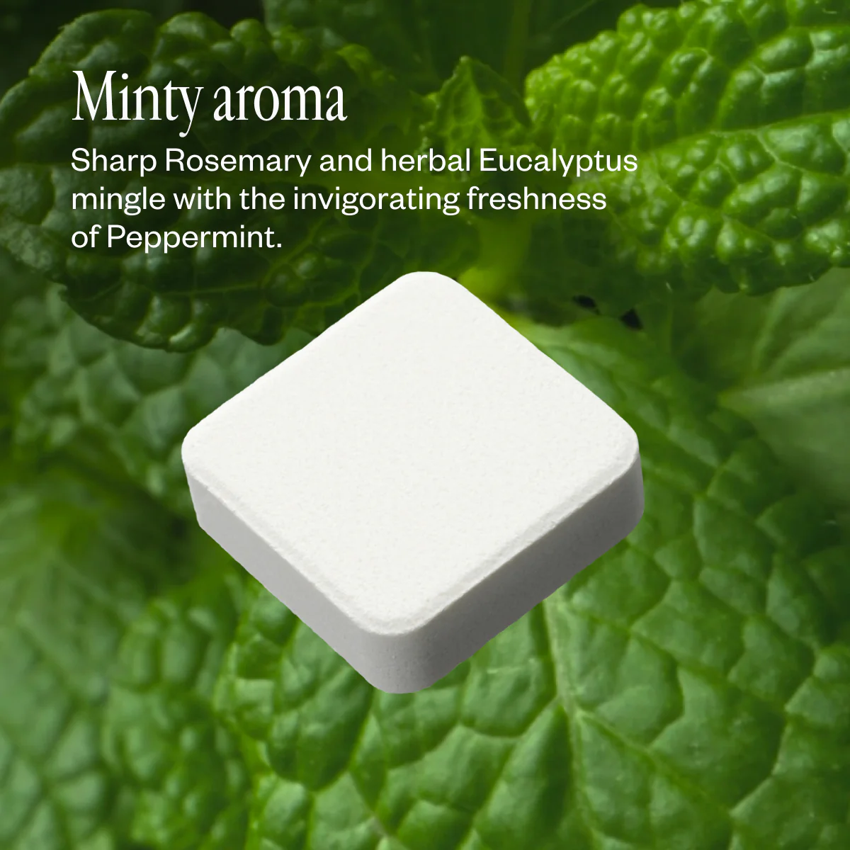 Refreshmint - Image 5
