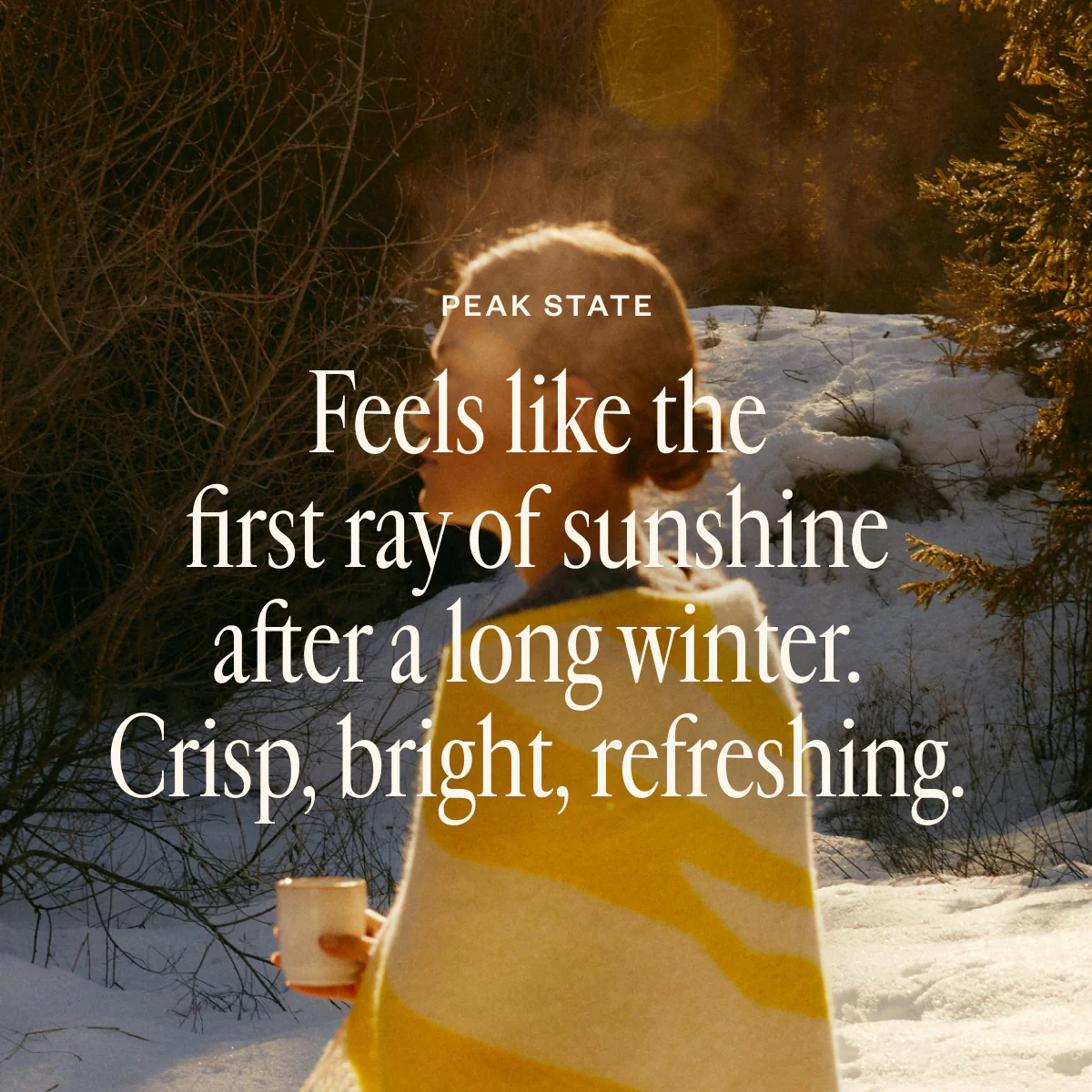 Shift Into Spring Duo - Image 6